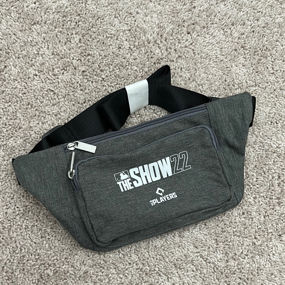 Gray Belt Bag